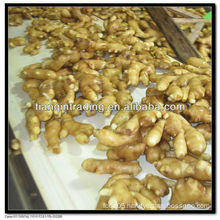 200g fresh ginger